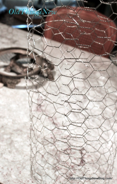 2-Chicken Wire Cloche 004