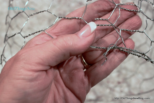 3-Chicken Wire Cloche 005