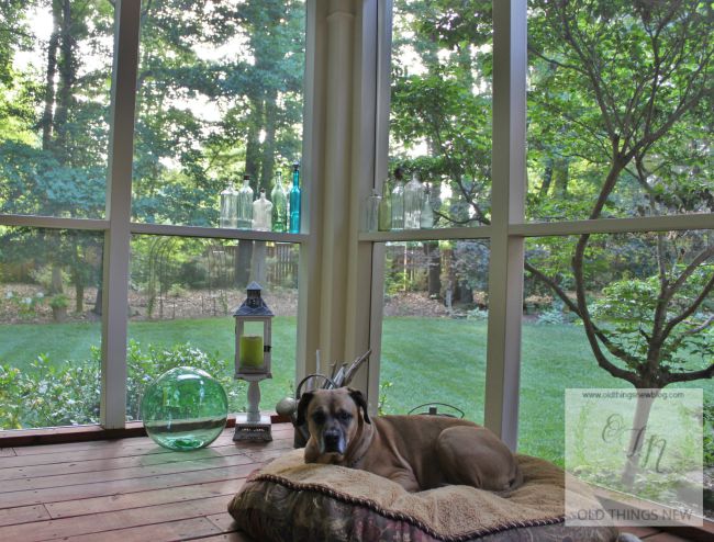 Screened Porch 023