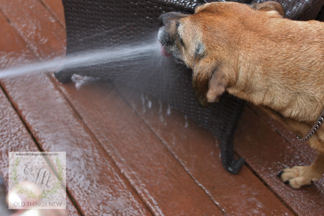 Washing porch furniture 007